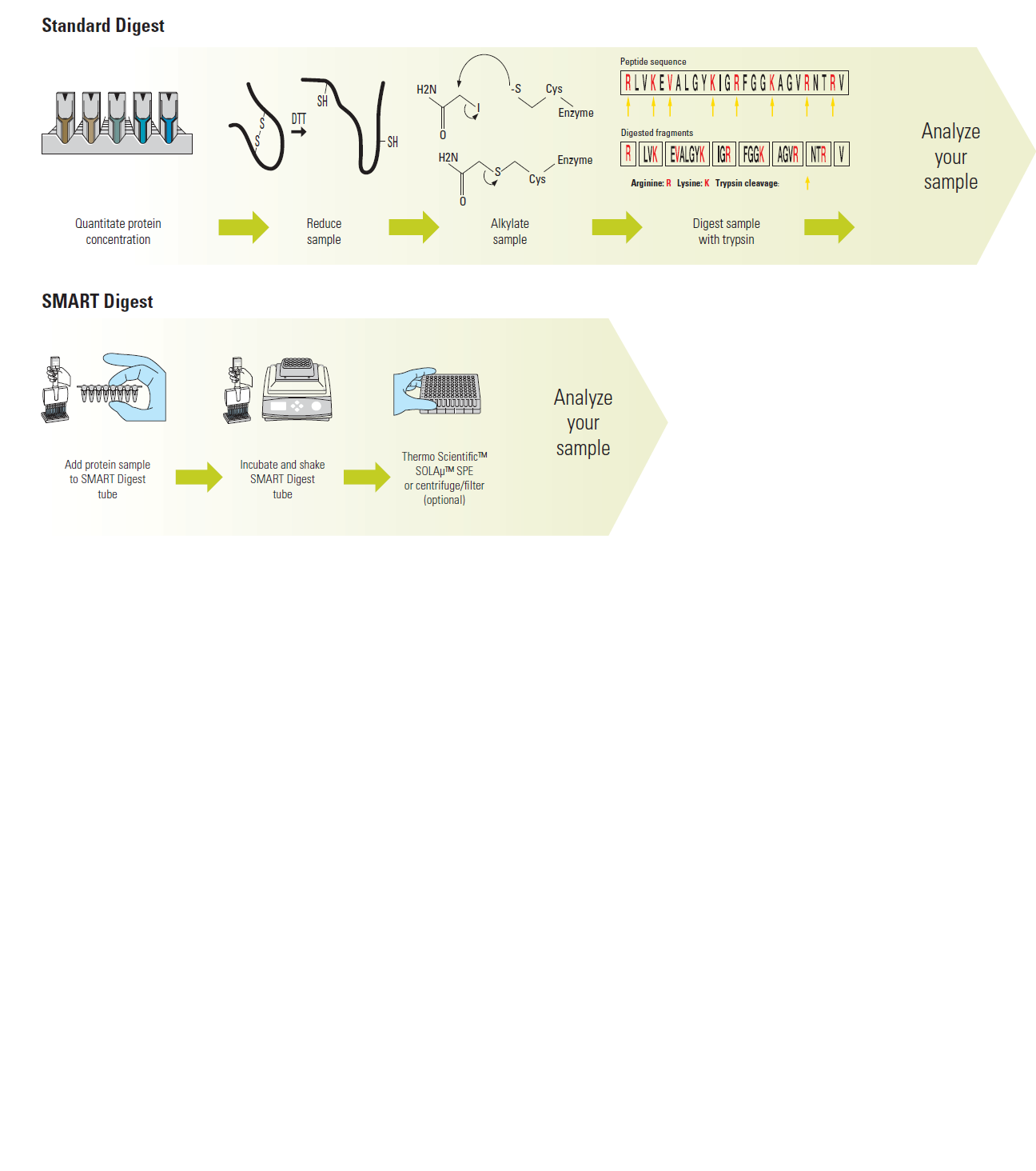Standard Digest versus SMART Digest SMART%20digestion%20versus%20clasic%20di