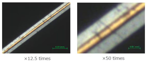 Pozorovanie%20prie%C4%8Dneho%20rezu%20vi