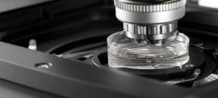 Leica STELLARIS DLS Leica STELLARIS DLS